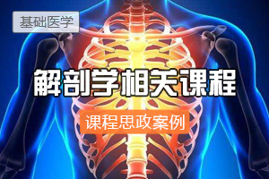 <em>臨床</em>醫學：《<em>解剖學</em>》<em>課程</em><em>思</em><em>政</em><em>案例</em>