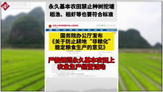 永久性基田：強農(nóng)興農(nóng)戰(zhàn)略