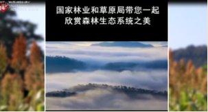 習近平：“綠水青山就是金山銀山”