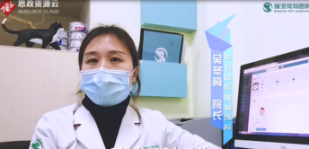 了不起的寵物醫生<em>吳</em>冬梅：因為熱愛，所以堅守