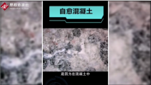 荷蘭生物學(xué)家發(fā)明出<em>可</em>自愈<em>混凝土</em>，提高了<em>混凝土</em><em>的</em>使用壽命