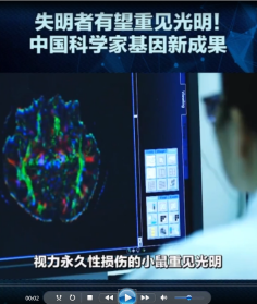 失明者有望重見光明，中國科學家<em>基因</em><em>編輯</em>新成果