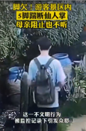 連踹5<em>腳</em><em>踢</em>斷景區仙人掌！男子引發眾怒