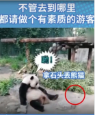 文明旅游 愛護和保護<em>動物</em>