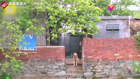 廣東一鄉村公廁獲世界景觀建筑獎：用舊磚瓦重建而成，這不只是一個廁所[并不簡單]