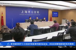 上海警方破獲一起特大<em>汽車保險</em><em>詐騙</em>案