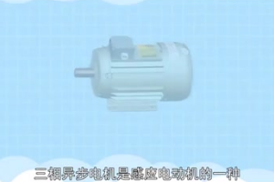 三相異步<em>電動機(jī)</em>