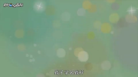 動(dòng)畫——戥子