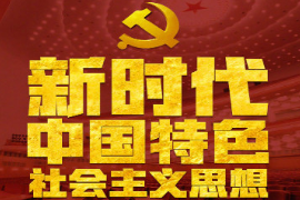 學(xué)會(huì)運(yùn)用習(xí)近平新時(shí)代中國(guó)特色社會(huì)主義思想的思想方法和工作方法