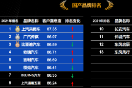 2021年<em>國產品牌</em>客戶滿意度排名