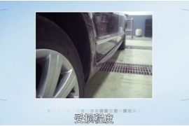 審核受損車輛照片