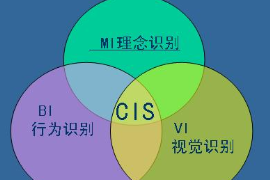CIS企業<em>識別系統</em>