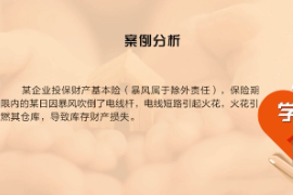 《<em>近因</em><em>原則</em>—暴風(fēng)責(zé)任》<em>近因</em><em>判斷</em>