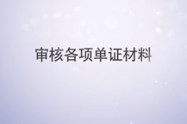 審核各項單證材料—審核的單證材料