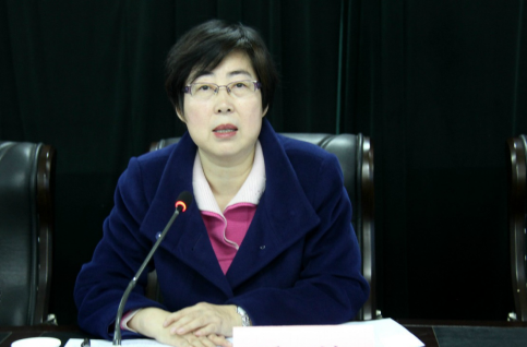 執掌<em>估</em><em>值</em>750億美金<em>的</em>螞蟻金服女王——彭蕾
