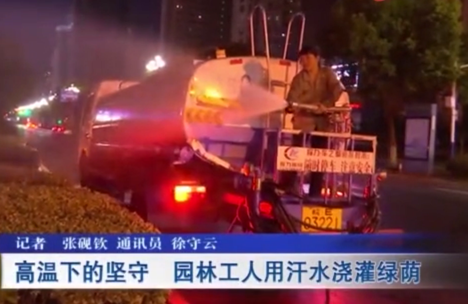 高溫下的堅守 馬鞍山園林工人用汗水澆灌綠蔭