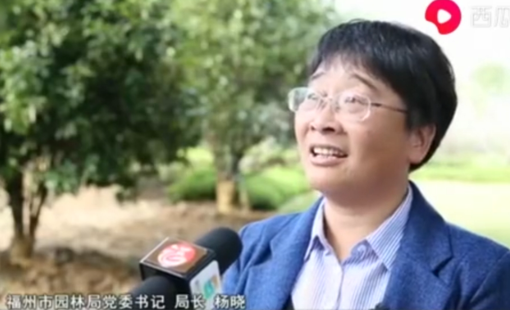 福州市園林局局長(zhǎng)楊曉：小步積大綠 呵護(hù)滿城綠蔭