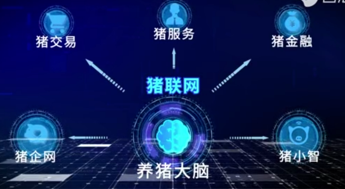 農信互聯豬聯網 開創數字化時代<em>的</em>智慧養豬新模式