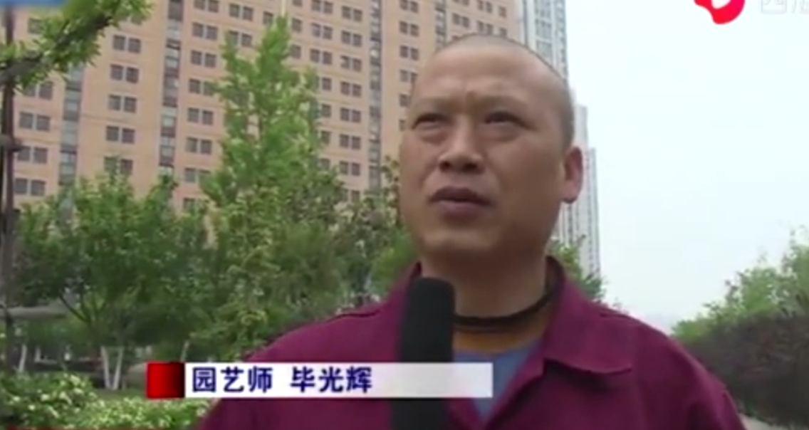 46歲園藝師畢光輝自學“剪刀手” 給綠植<em>修剪</em>造型