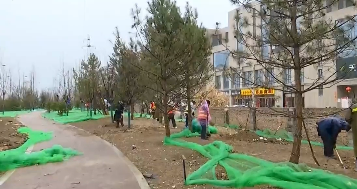 植樹增綠正當時 提升景觀迎全運