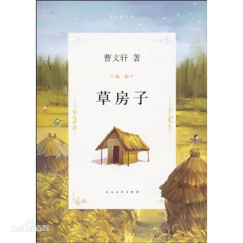 桑桑望著這一幢一幢草<em>房子</em>，淚水朦朧之中，它們連成了一大片金色。——《草<em>房子</em>》