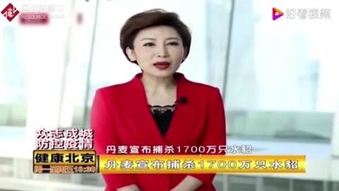 丹麥宣布捕殺1700萬只水貂，因水貂養殖場出現變異新冠病毒！