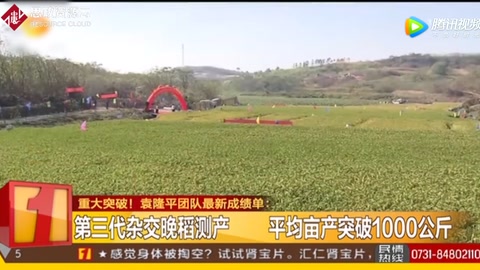 <em>袁隆平</em>團隊：第三代<em>雜交</em>晚稻測產 平均畝產突破1000公斤