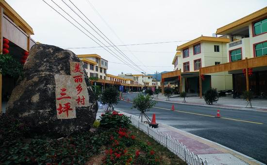 高效農業型模式一一福建省漳州市平和縣三坪村