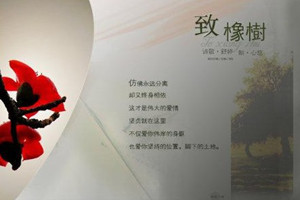 《致橡樹》：舒婷創(chuàng)作的當代詩歌