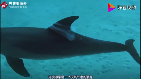環境污染的危害