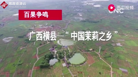 <em>廣西</em><em>橫縣</em>—“中國<em>茉莉</em>之鄉 ”