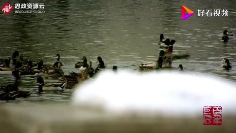 新中國的百年<em>巨匠</em>—徐悲鴻