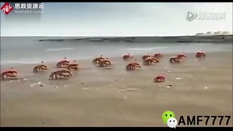 這才是團隊精神！