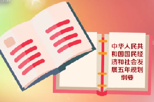 五年<em>規劃</em>：<em>中國</em>國民經濟計劃的重要部分