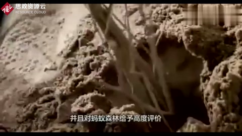 馬云的<em>支付</em>寶，推出螞蟻森林2年，投資2億，你種的樹多大<em>了</em>？