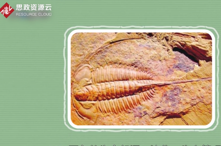 原來澄江生物<em>群</em>長這樣