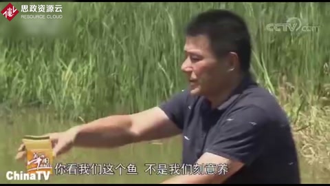 稻魚共生系統，魚和稻共同養殖，自然無公害兩者互利共贏
