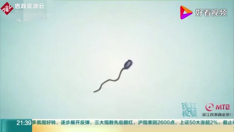 中國科學家培育出世界首只雙父來源小鼠