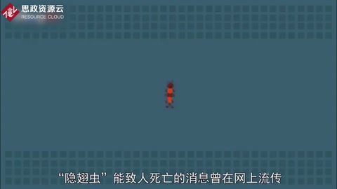 隱翅蟲<em>會</em>咬人致死<em>嗎</em>