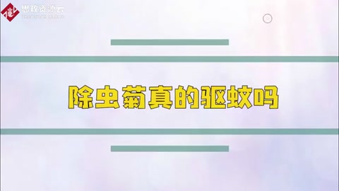 除蟲菊——天然<em>的</em>除蟲菊酯對害蟲<em>產生</em><em>的</em><em>影響</em>
