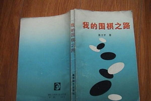 我的圍棋之路