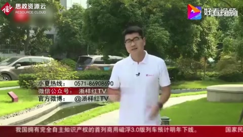 貓咪手術麻醉心跳驟停 獸醫卻在打麻將？ 