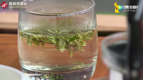 帶你了解徐匯飲茶文化周