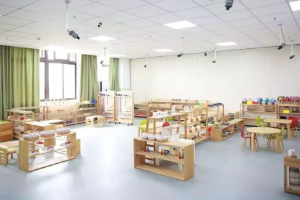 學前教育專業：《教育診斷與幼兒心理健康指導—幼兒心理挫折》課程思政案例