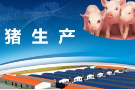 畜牧獸醫專業：“豬生產”課程思政案例