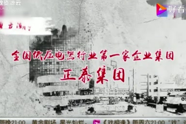 <em>正</em>泰集團