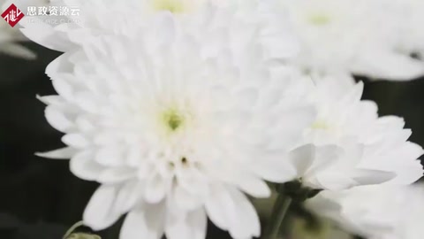 <em>世界</em>上最大型<em>花卉</em>種植基地，<em>世界</em>一半資源都來自于這里！