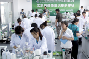 全國(guó)高職組植物組織培養(yǎng)<em>技能</em><em>大賽</em><em>現(xiàn)場(chǎng)</em>裁判