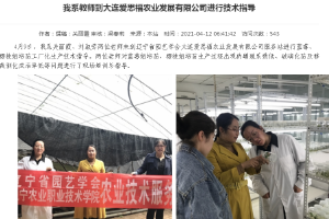 科技服務--遼寧省園藝學會技術服務團隊到大連愛思福農業發展有限公司服務站開展技術服務