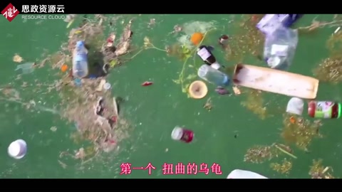 塑料對(duì)動(dòng)物的危害這么大！
